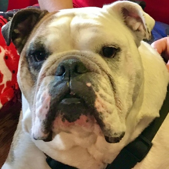 Meet your Posher, Hannah - Picture 1 of 8